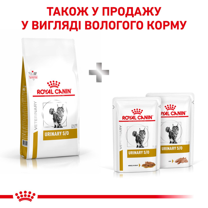 Купуйте Royal Canin Urinary S/O: дієтичний корм для котів - вирішення проблем сечовиділення
