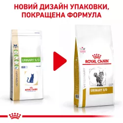 Купуйте Royal Canin Urinary S/O: дієтичний корм для котів - вирішення проблем сечовиділення