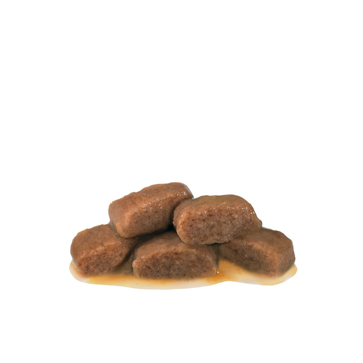 Купити Royal Canin Renal з яловичиною для котів | Підтримка нирок в один клік