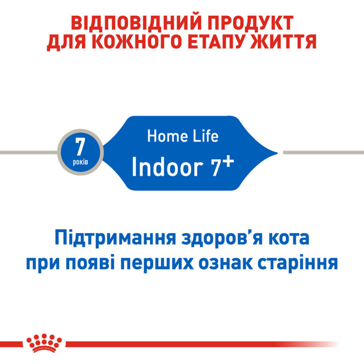 Indoor 7+ 3,5 кг