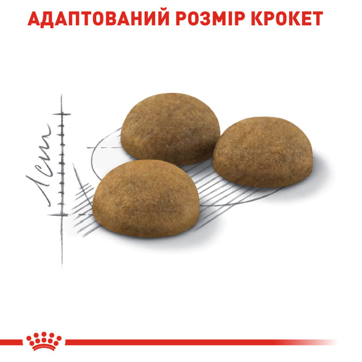 Indoor Longhair  Сухий Корм Для Дорослих Котів З Довгою Шерстю 2 кг