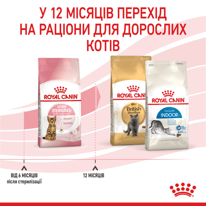 Royal Canin Kitten Sterilised: Повноцінне Харчування для Стерилізованих Кошенят