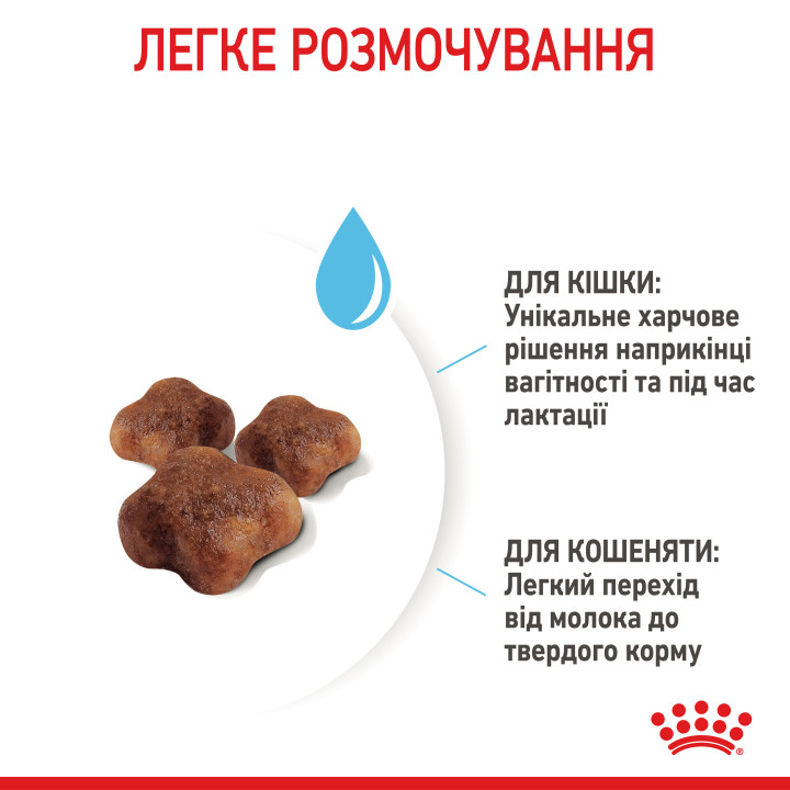 Корм для кошенят та кішок 10 кг ROYAL CANIN Mother & Babycat - здорове зростання та розвиток