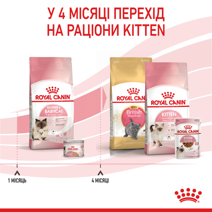 Корм для кошенят та кішок 2 кг ROYAL CANIN Mother & Babycat - здорове зростання та розвиток