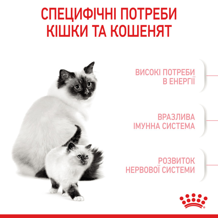 Корм для кошенят та кішок 10 кг ROYAL CANIN Mother & Babycat - здорове зростання та розвиток