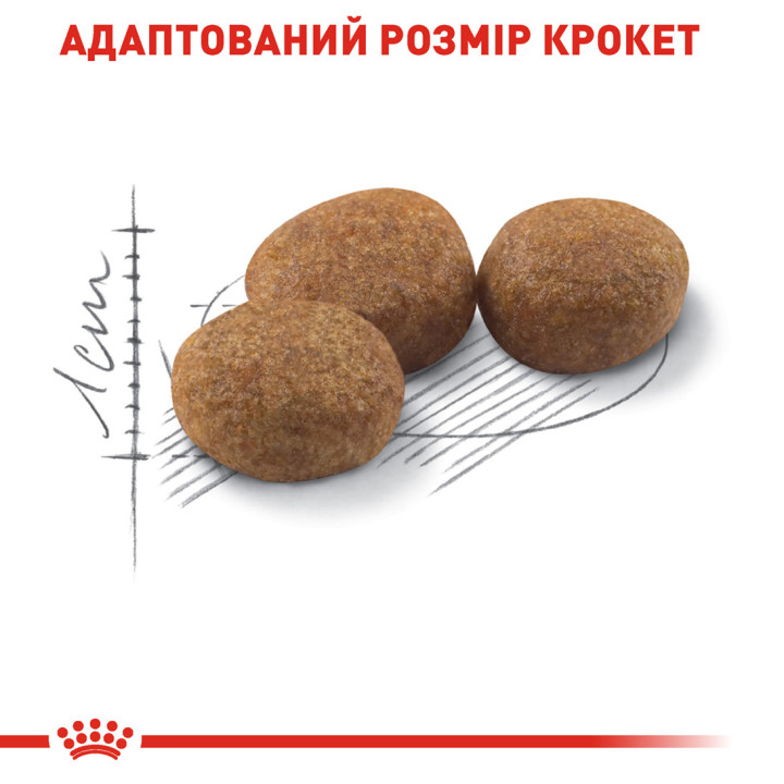 Royal Canin Sterilised: корм для стерилізованих котів 0.4 кг