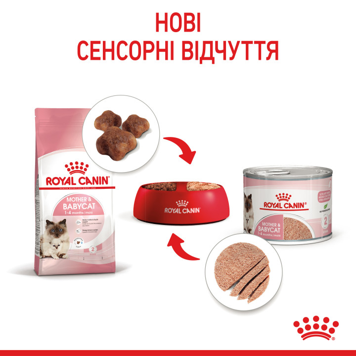 Babycat Instinctive Cans  Корм Для Кошенят Та Вагітних Кішок 0,195 кг