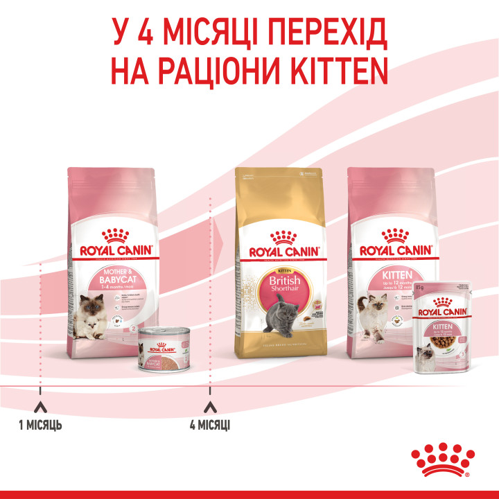Babycat Instinctive Cans  Корм Для Кошенят Та Вагітних Кішок 0,195 кг