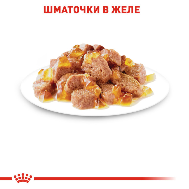 Вологий корм Royal Canin Instinctive Jelly для котів