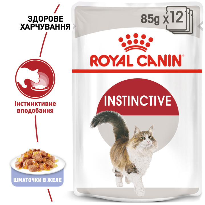 Вологий корм Royal Canin Instinctive Jelly для котів