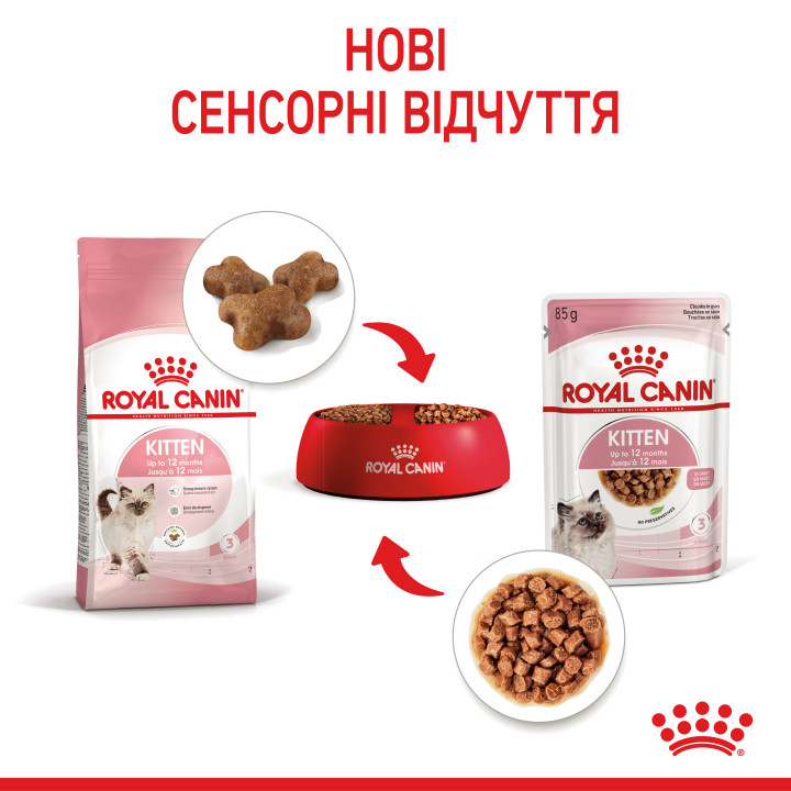 Royal Canin Kitten Gravy - вологий корм для кошенят до 12 місяців
