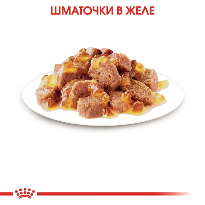 Royal Canin Sterilised Jelly 0.085 кг | Вологий корм в желе для стерилізованих котів