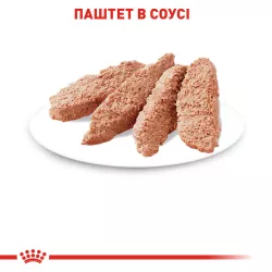 Royal Canin Sterilised Loaf 0.085 кг - паштет для стерилізованих котів