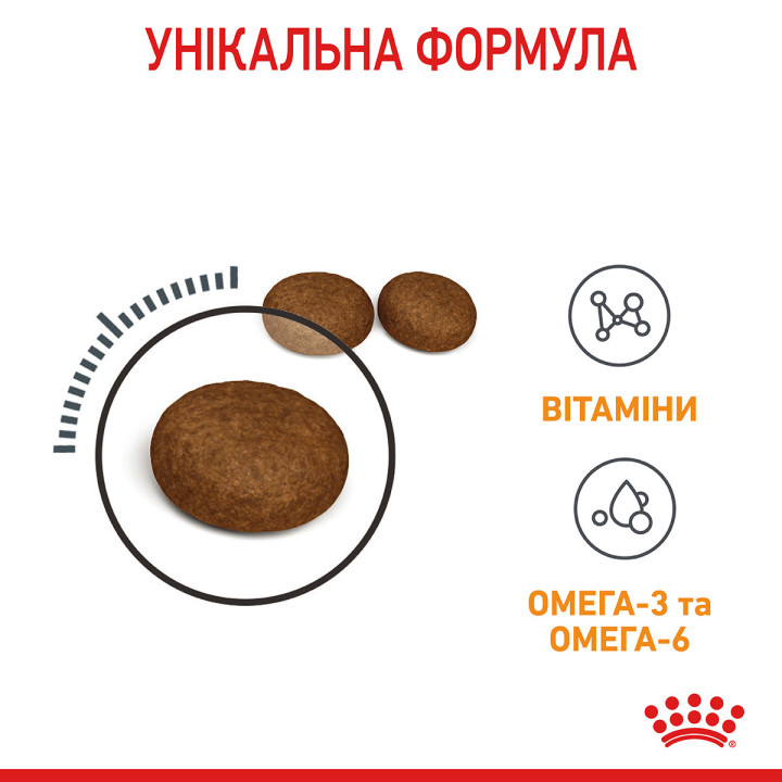Купити 10 кг Royal Canin Hair and Skin Care для котів | Здоров'я шерсті та шкіри