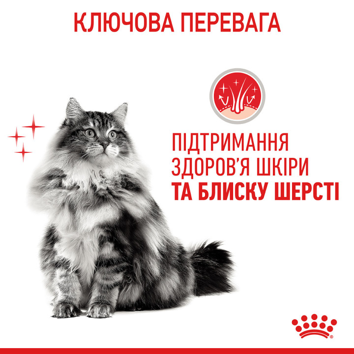 Купити 4 кг Royal Canin Hair and Skin Care для котів | Здоров'я шерсті та шкіри