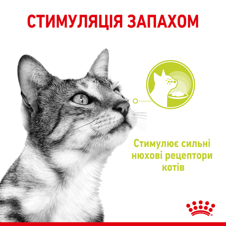 Royal Canin Sensory Smell Chunks In Gravy 0.085 кг | Вологий корм в соусі для вибагливих до запаху котів