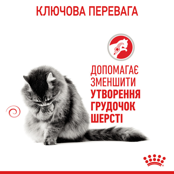 Купити 0.4 кг Сухий корм Royal Canin Hairball Care для котів - здоров'я при ковтанні шерсті