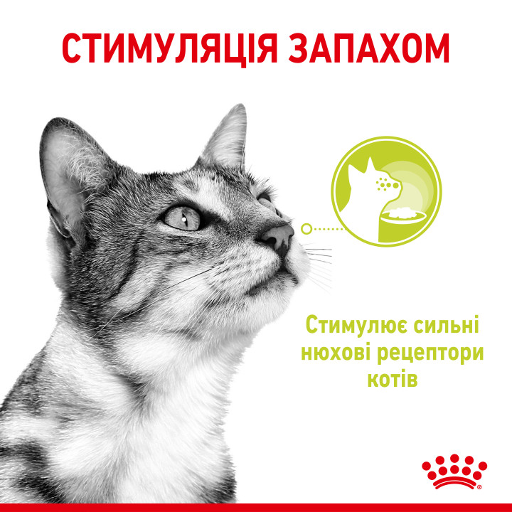 Sensory Smell Chunks In Jelly 0.085 кг