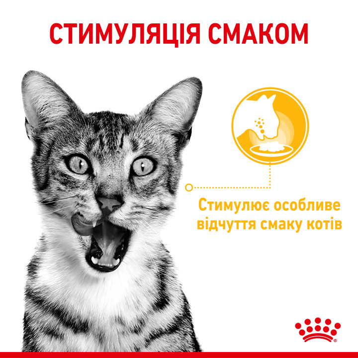 Royal Canin Sensory Taste Chunks In Gravy 0.085 кг | Вологий корм в соусі для котів вибагливих до смаку