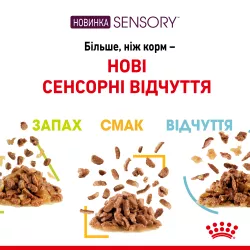 Royal Canin Sensory Taste Chunks In Gravy 0.085 кг | Вологий корм в соусі для котів вибагливих до смаку