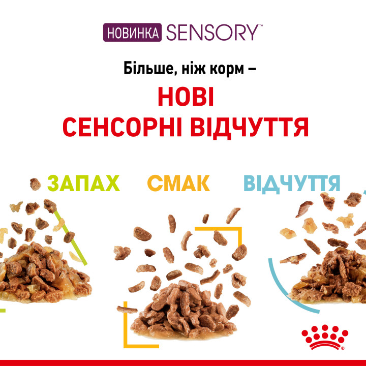 Sensory Taste Chunks In Jelly 0.085 кг