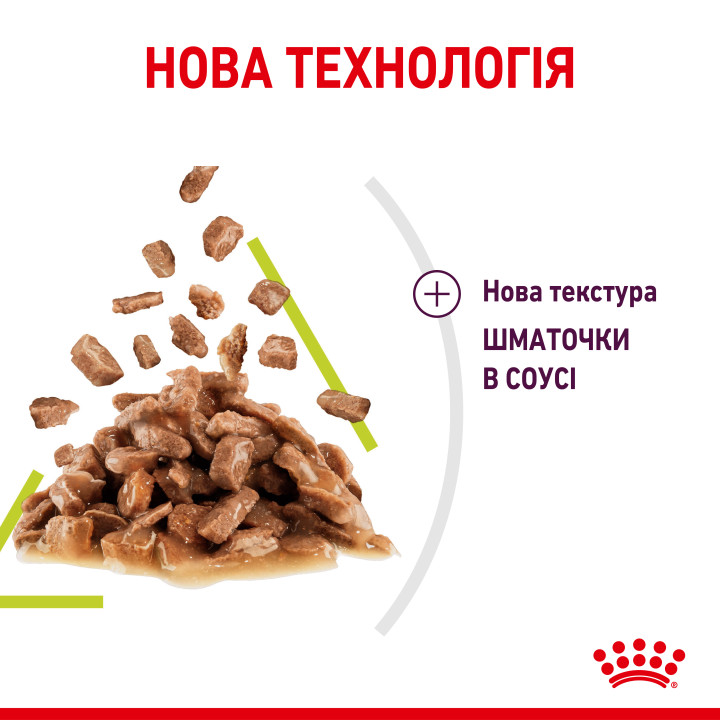 Royal Canin Sensory Smell Chunks In Gravy 0.085 кг | Вологий корм в соусі для вибагливих до запаху котів