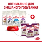 Royal Canin Sensory Smell Chunks In Gravy 0.085 кг | Вологий корм в соусі для вибагливих до запаху котів
