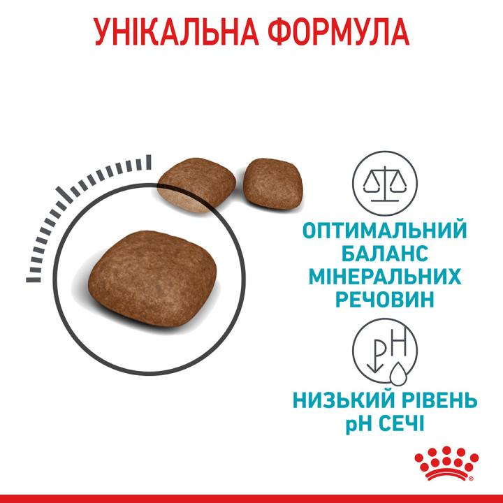 Купити 0.4 кг Royal Canin Urinary Care – Сухий Корм для Котів, Підтримка Сечовивідних Шляхів