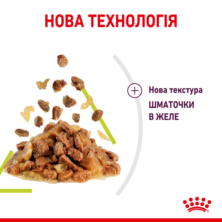Sensory Smell Chunks In Jelly 0.085 кг