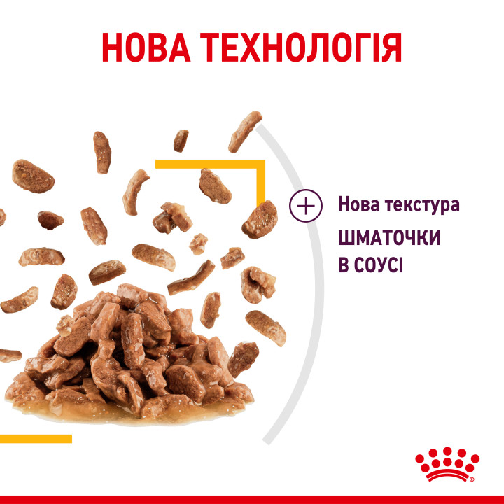Royal Canin Sensory Taste Chunks In Gravy 0.085 кг | Вологий корм в соусі для котів вибагливих до смаку