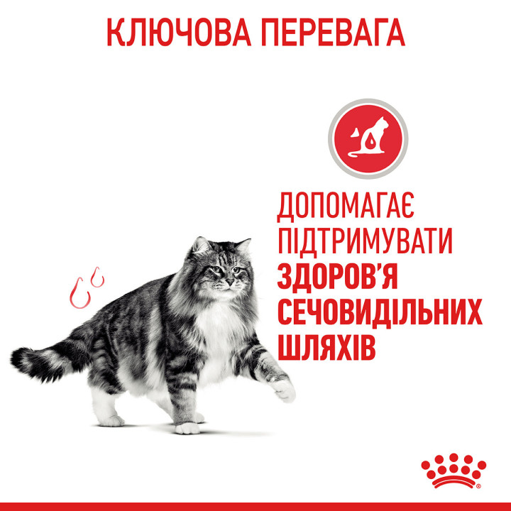 Вологий корм для котів Royal Canin Urinary Care Gravy - підтримка здоров'я сечової системи