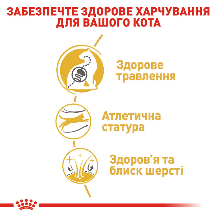 Royal Canin Bengal Adult: корм для бенгальських котів 2 кг