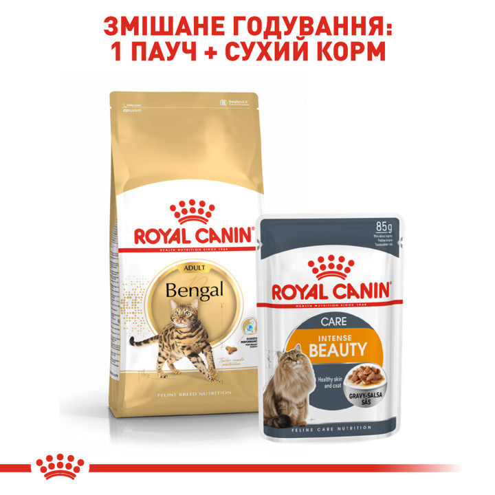 Royal Canin Bengal Adult: корм для бенгальських котів 2 кг