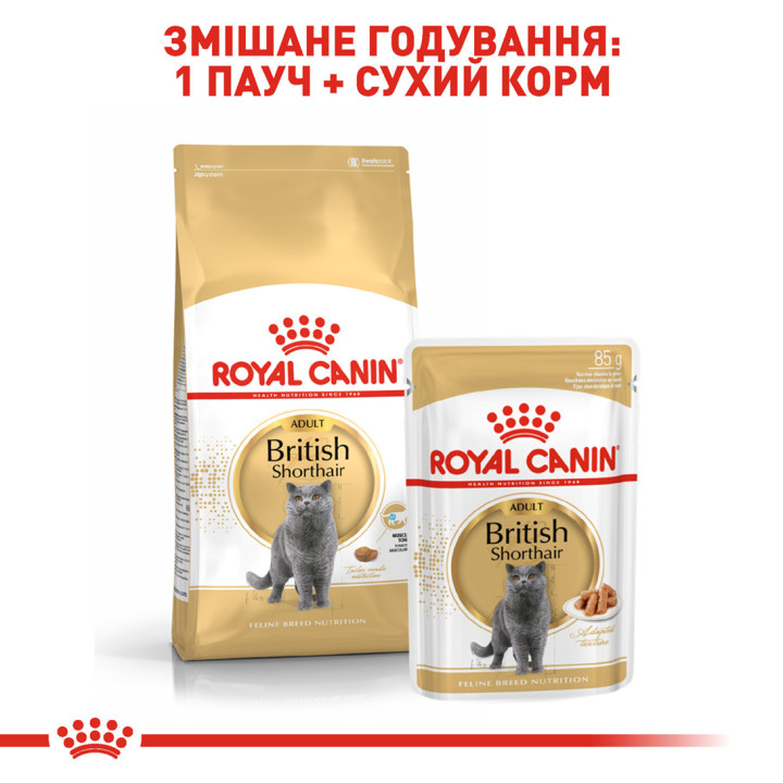 Купити 10 кг Корм для Британської Короткошерстої - Підтримка М'язів і Суглобів