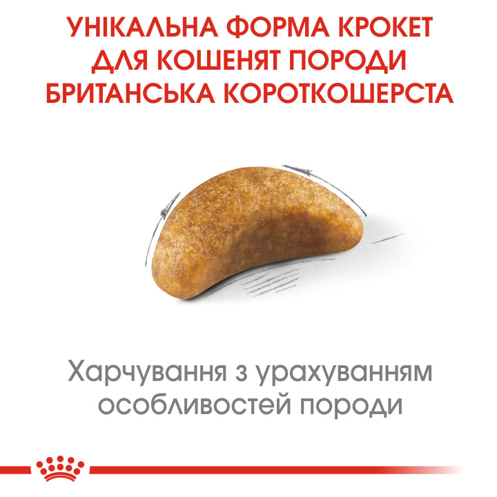 Royal Canin Kitten British Shorthair 0.4 кг для британських короткошерстих кошенят - оптимальний розвиток і здоров'я
