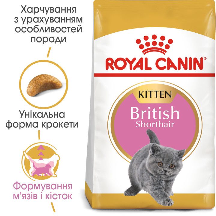 Royal Canin Kitten British Shorthair 0.4 кг для британських короткошерстих кошенят - оптимальний розвиток і здоров'я
