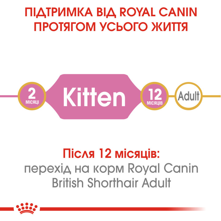 Royal Canin Kitten British Shorthair 10 кг для британських короткошерстих кошенят - оптимальний розвиток і здоров'я
