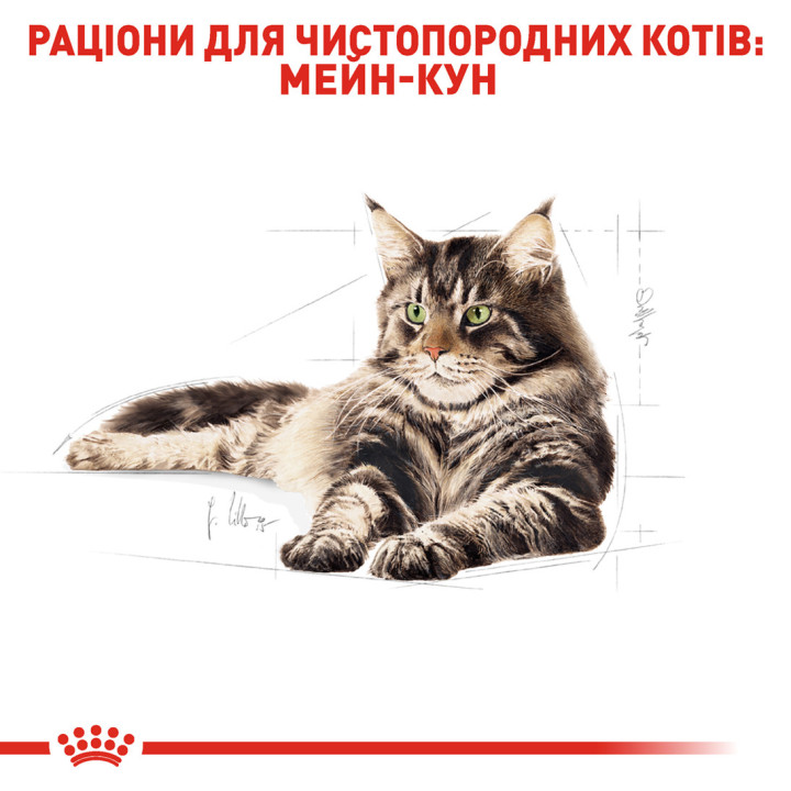 Maine Coon Adult Сухий Корм Для Котів Мейнкун 2 кг