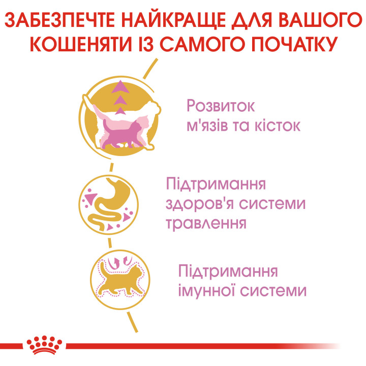 Royal Canin Kitten British Shorthair 10 кг для британських короткошерстих кошенят - оптимальний розвиток і здоров'я