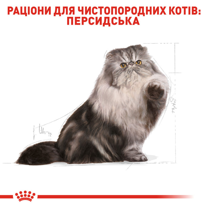 ROYAL CANIN PERSIAN ADULT - сухий корм для персидських котів від 12 місяців 2 кг