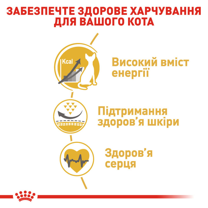 Royal Canin Sphynx Adult - корм для дорослих котів породи Сфінкс 10 кг