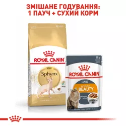 Royal Canin Sphynx Adult - корм для дорослих котів породи Сфінкс 10 кг