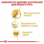 Royal Canin Sphynx Adult - корм для дорослих котів породи Сфінкс 2 кг