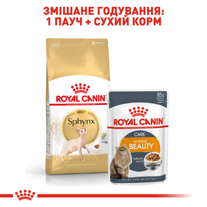 Royal Canin Sphynx Adult - корм для дорослих котів породи Сфінкс 2 кг