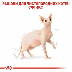 Royal Canin Sphynx Adult - корм для дорослих котів породи Сфінкс 10 кг