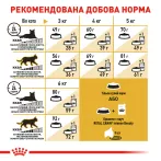 Royal Canin Sphynx Adult - корм для дорослих котів породи Сфінкс 2 кг