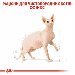 Royal Canin Sphynx Adult - корм для дорослих котів породи Сфінкс 2 кг