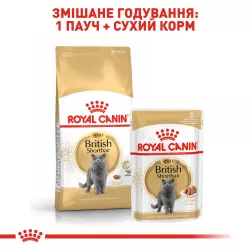 Royal Canin British Shorthair Adult: корм для британської короткошерстої  паучі 0,085 кг