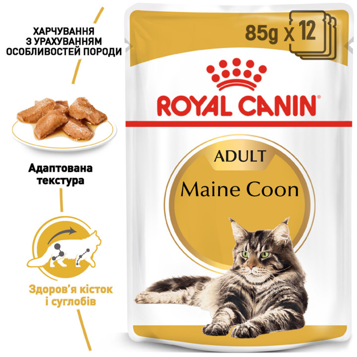 Royal Canin Maine Coon - вологий корм для котів породи Мейн-кун