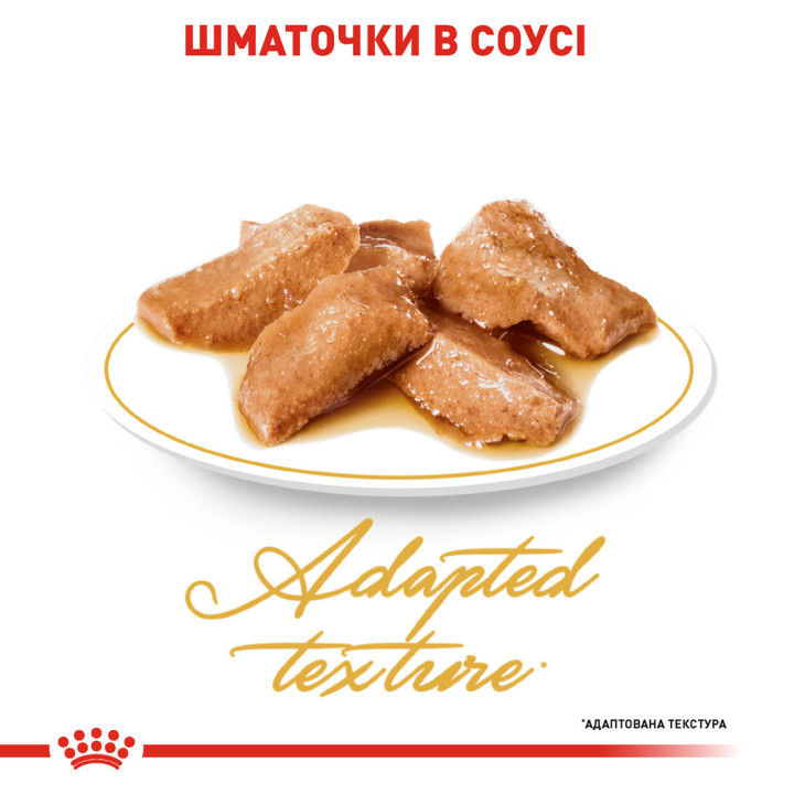 Royal Canin Maine Coon - вологий корм для котів породи Мейн-кун